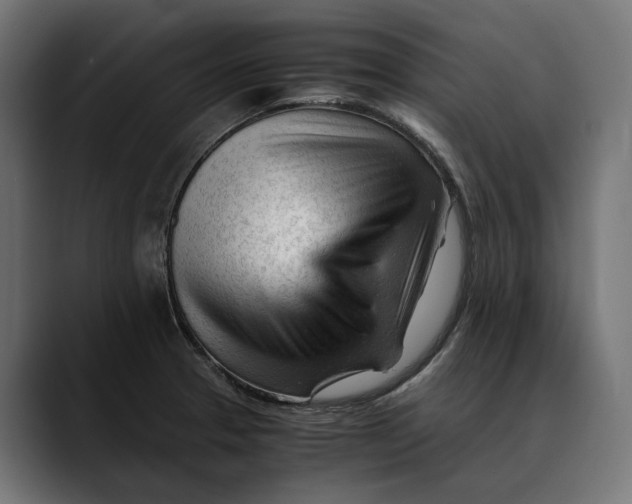 X0000088911329200707061338