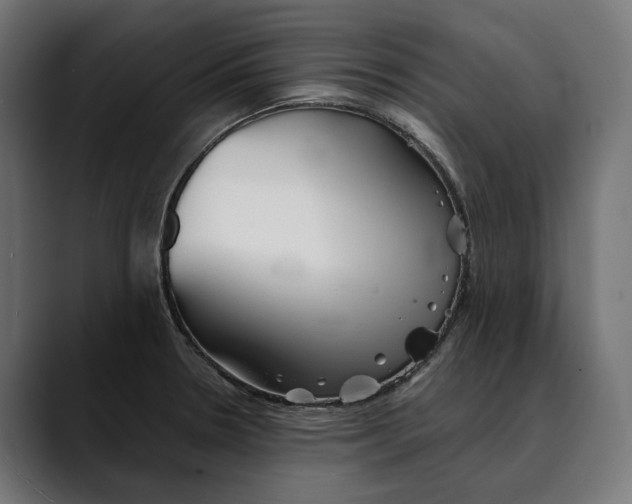 X0000088911330200707061338