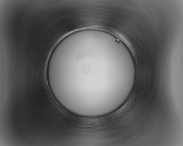 X0000088911332200707061338