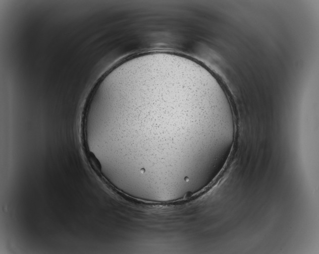 X0000088911333200707061338