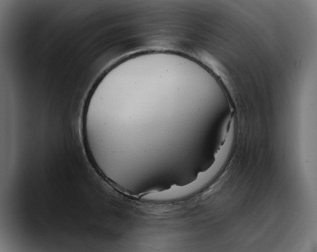 X0000088911334200707061338