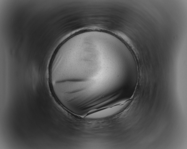 X0000088911335200707061338