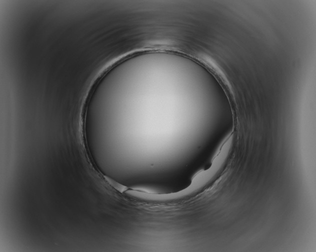 X0000088911336200707061338