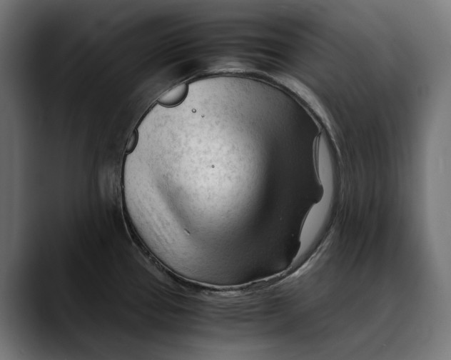 X0000088911337200707061338