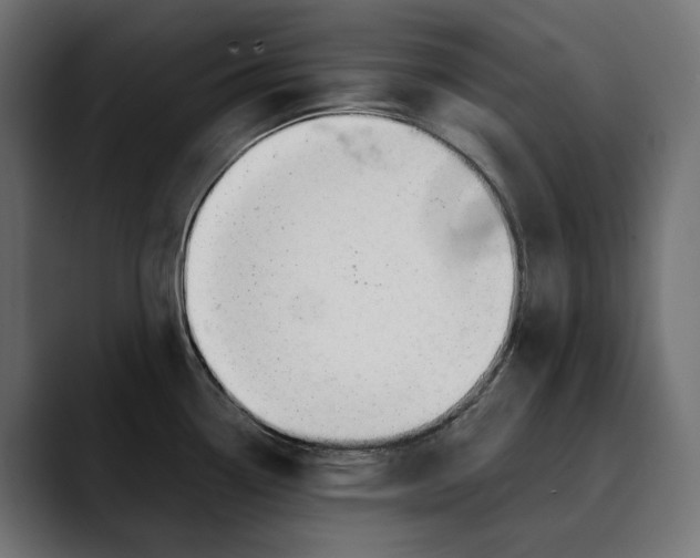 X0000088911338200707061338