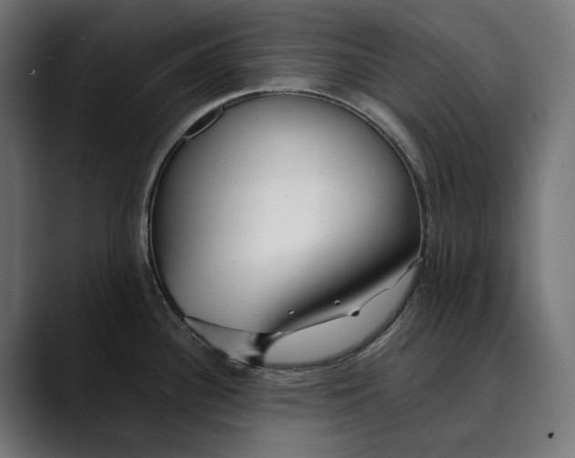 X0000088911340200707061338