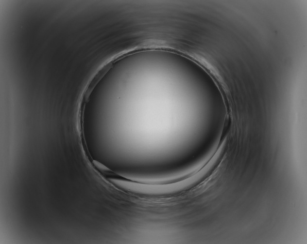 X0000088911342200707061338