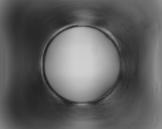 X0000088911343200707061338