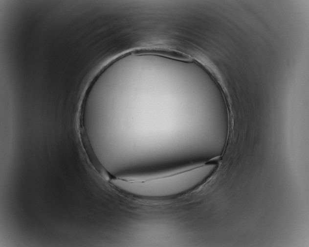 X0000088911344200707061338