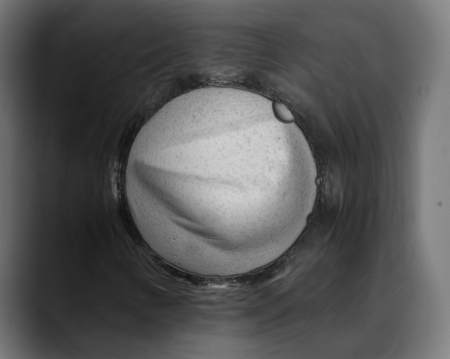 X0000088911346200707061338