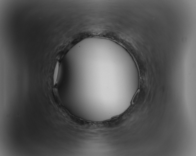 X0000088911349200707061338