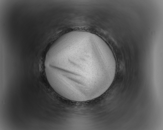 X0000088911350200707061338