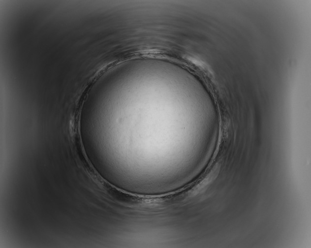 X0000088911353200707061338