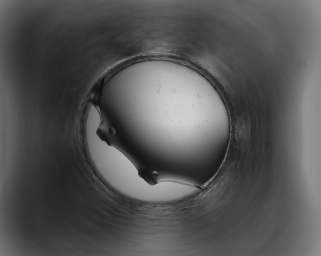 X0000088911356200707061338