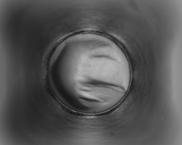 X0000088911359200707061338