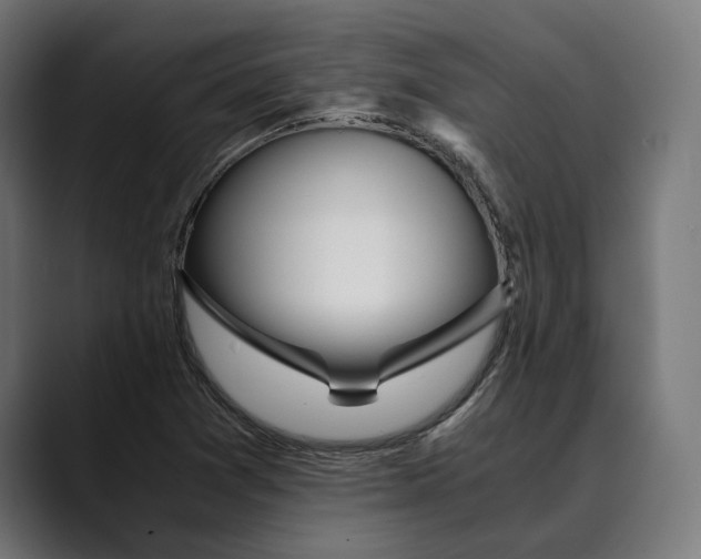 X0000088911361200707061338