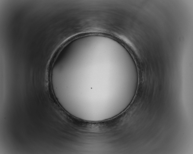 X0000088911364200707061338