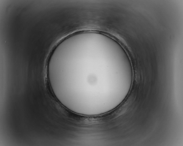 X0000088911366200707061338