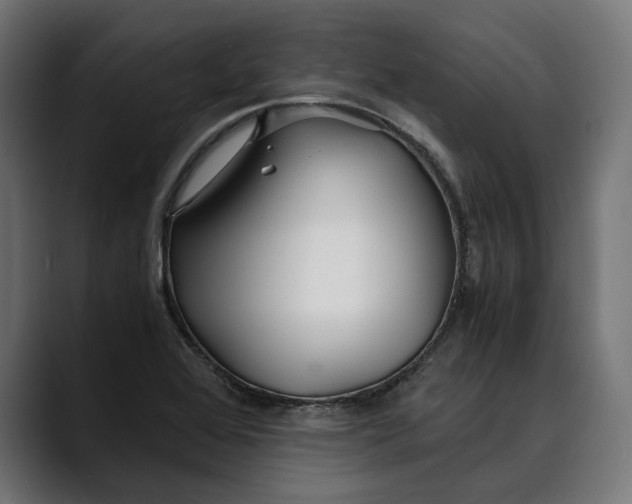 X0000088911368200707061338