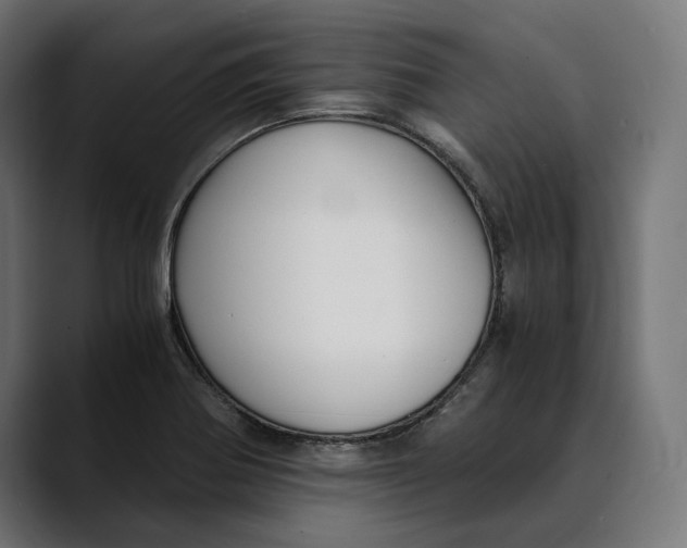 X0000088911370200707061338