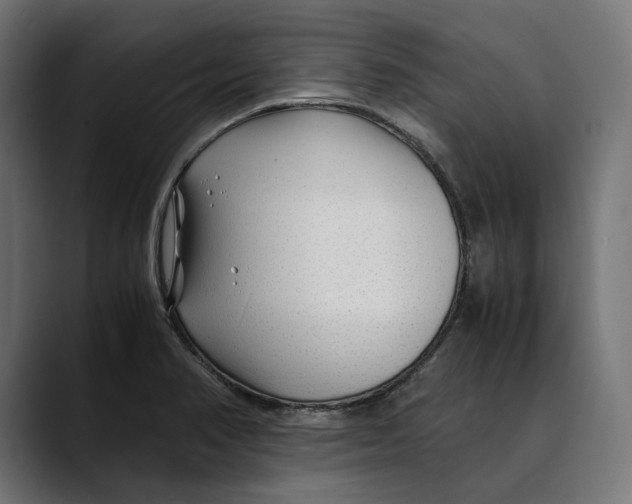 X0000088911374200707061338