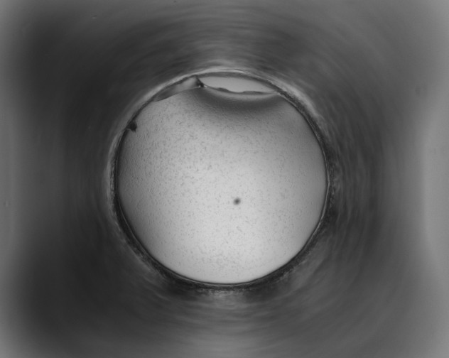 X0000088911375200707061338