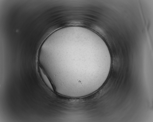 X0000088911378200707061338