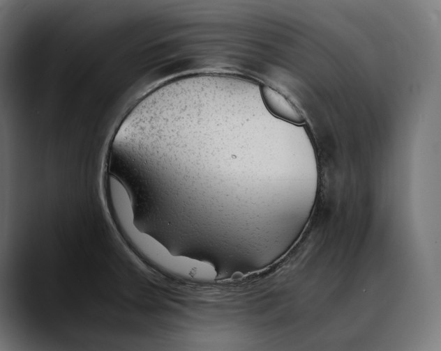 X0000088911379200707061338