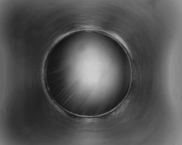 X0000088911381200707061338