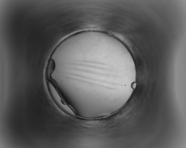 X0000088911383200707061337