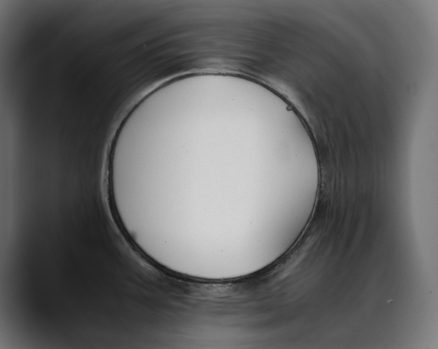 X0000088911387200707061337