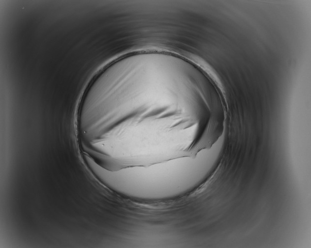 X0000088911388200707061337