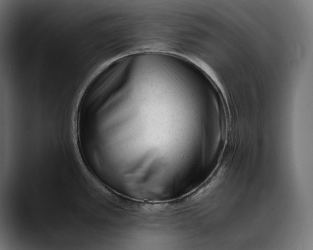 X0000088911389200707061337