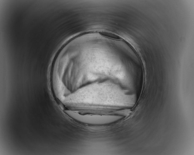 X0000088911392200707061337