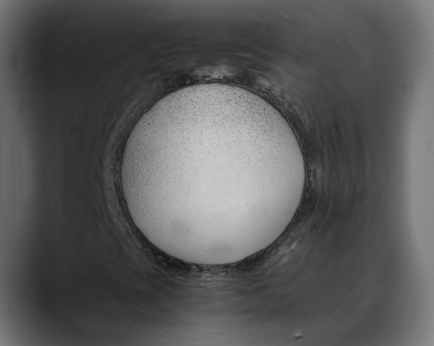 X0000088911393200707061337