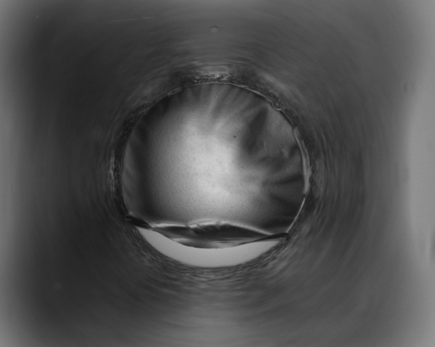 X0000088911394200707061337