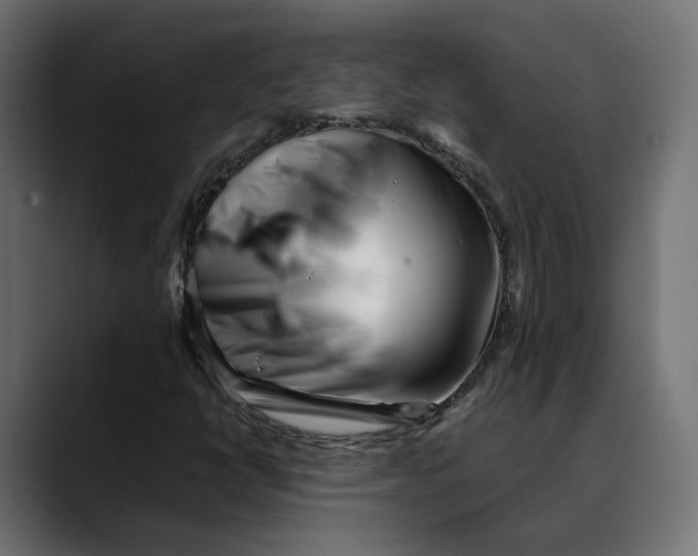 X0000088911398200707061337