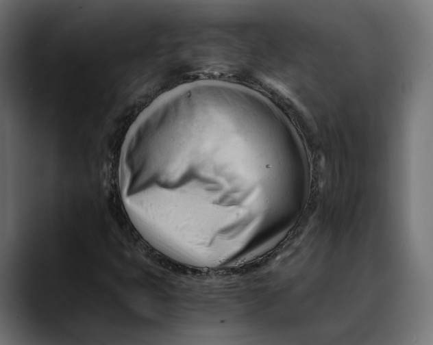 X0000088911399200707061337