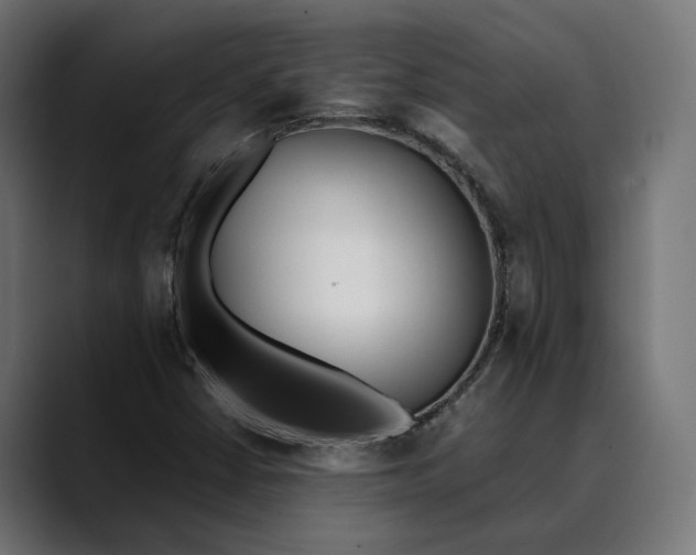 X0000088911402200707061337