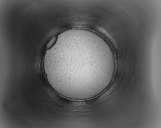 X0000088911403200707061337