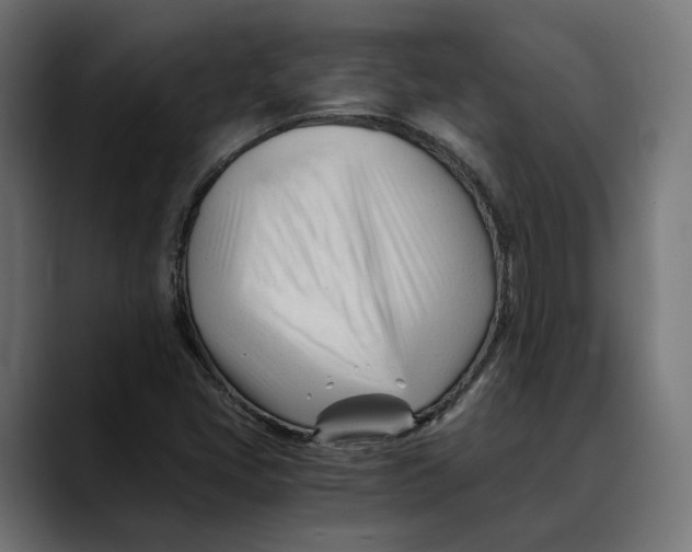 X0000088911405200707061337