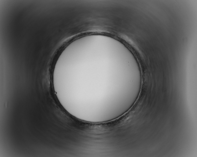 X0000088911408200707061337