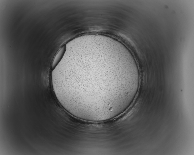X0000088911409200707061337