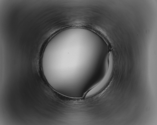 X0000088911410200707061337