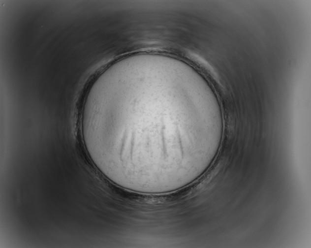 X0000088911411200707061337