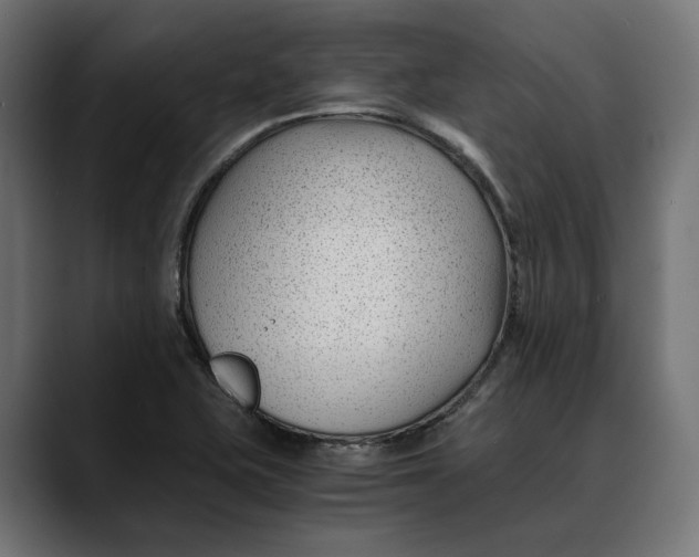 X0000088911415200707061337