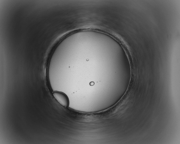 X0000088911416200707061337