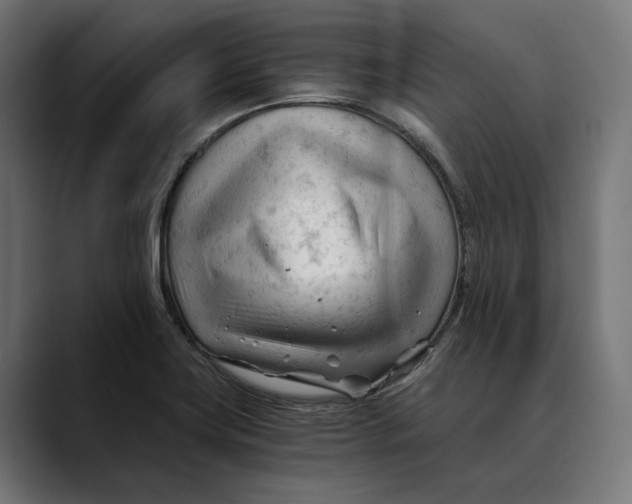 X0000088911419200707061337