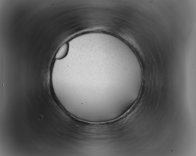 X0000088911420200707061337