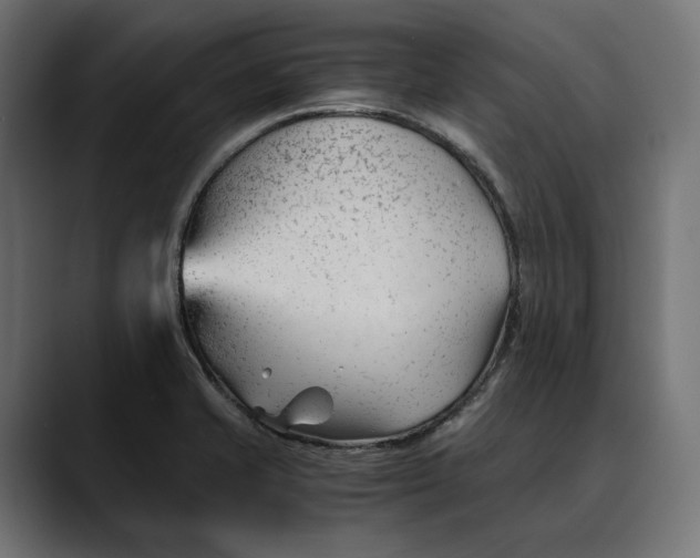 X0000088911421200707061337